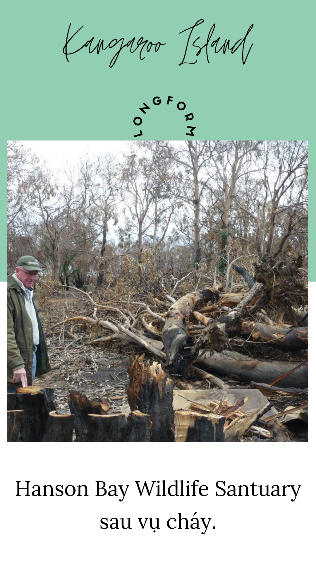 Tinh thần Yacca ảnh 2