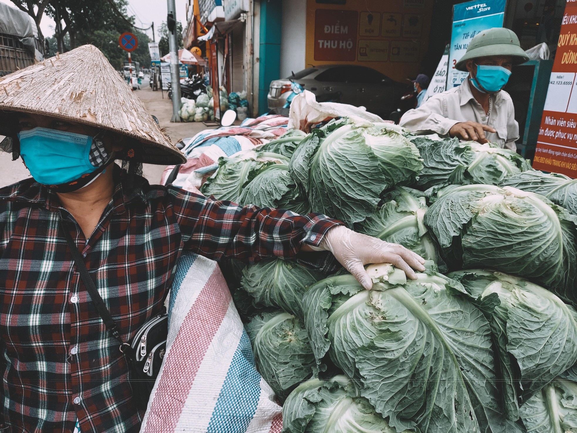 Cứu được rau không? ảnh 2