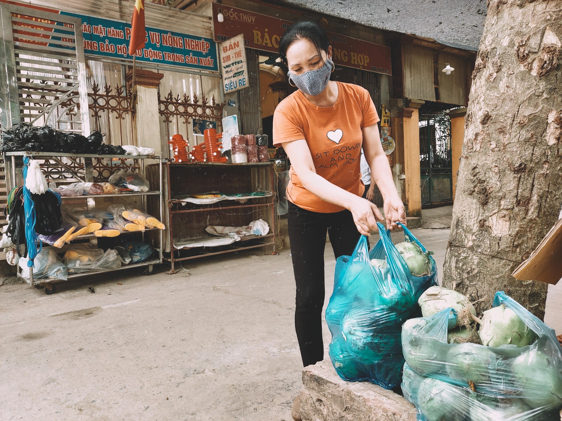 Cứu được rau không? ảnh 8