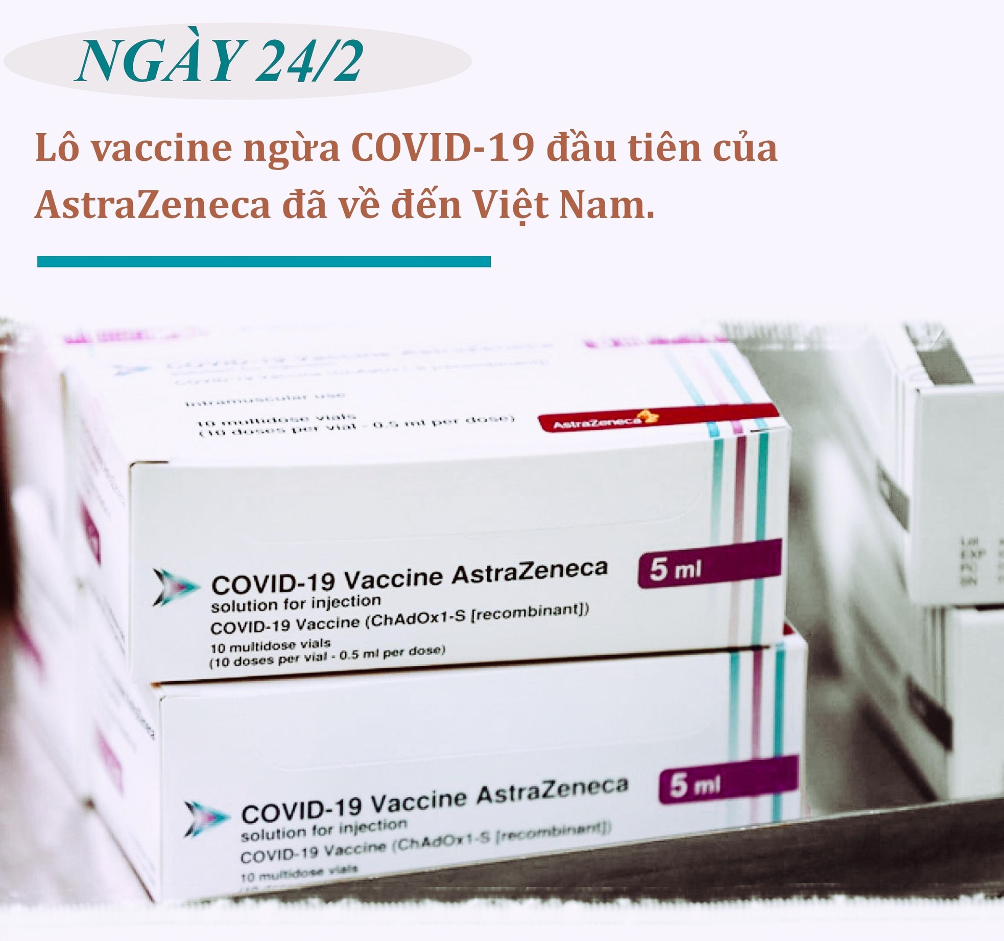 Việt Nam triển khai tiêm vaccine phòng COVID-19: Hào hứng và hồi hộp! ảnh 2