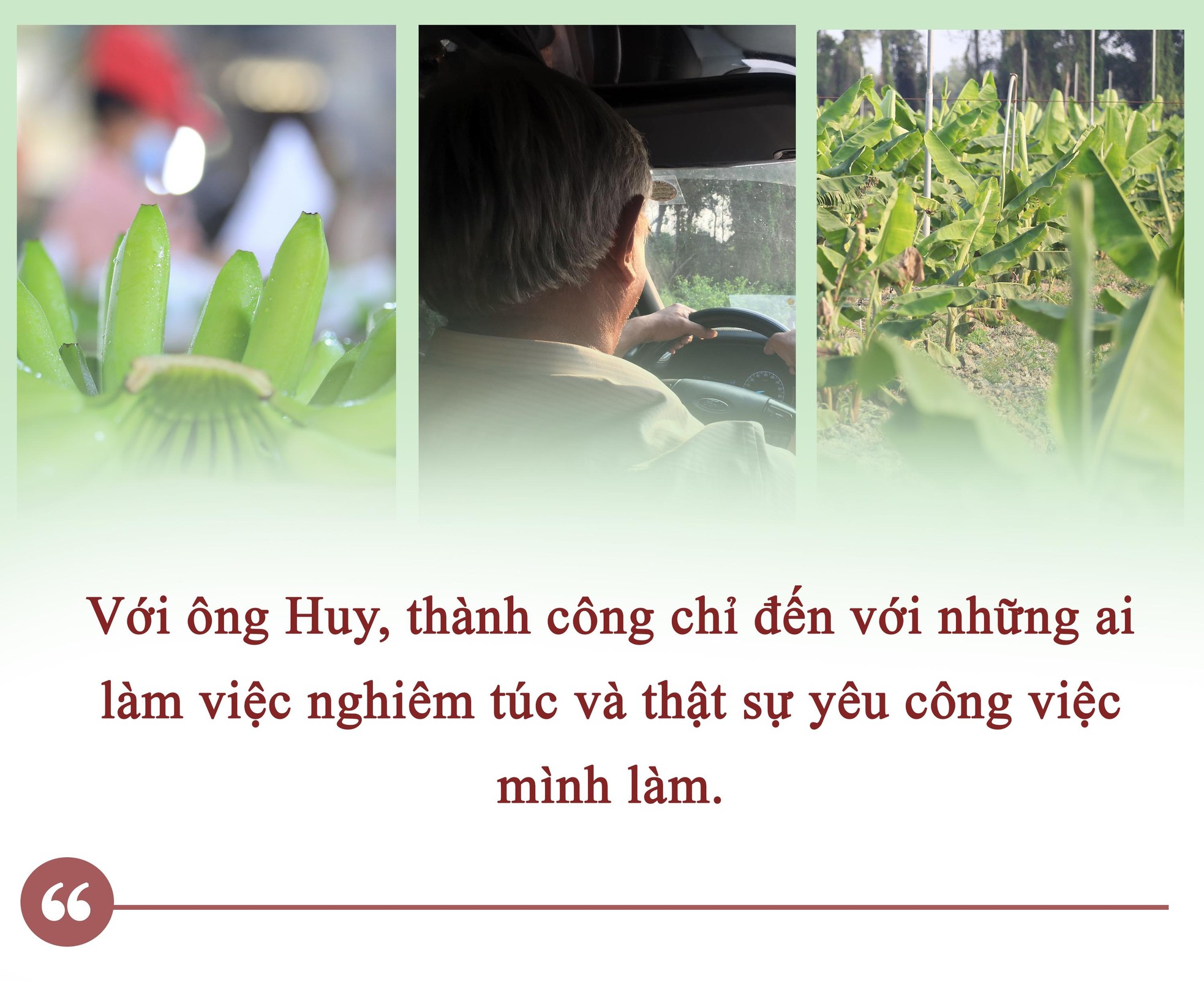 Gặp “Vua Chuối” Võ Quan Huy ảnh 6