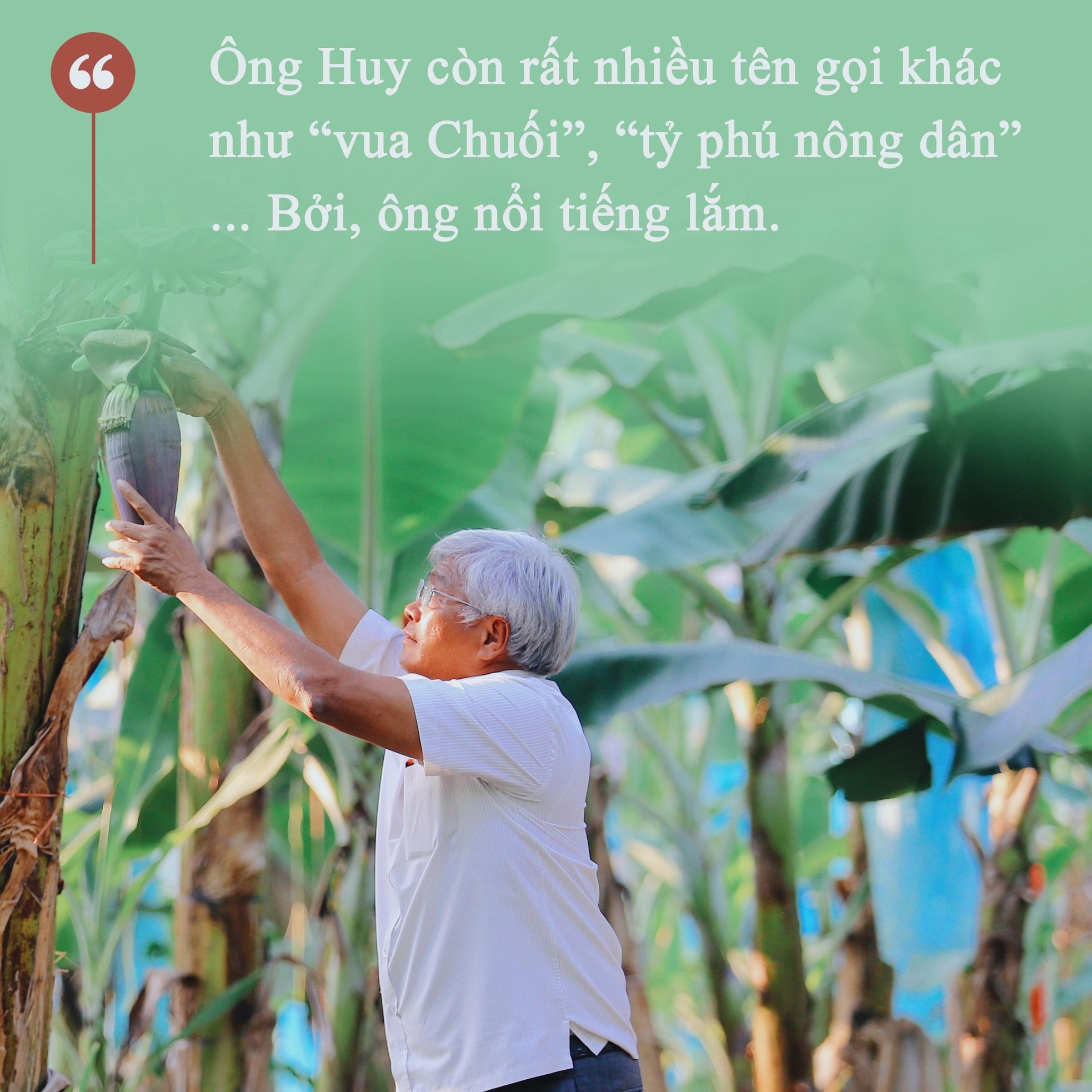 Gặp “Vua Chuối” Võ Quan Huy ảnh 1