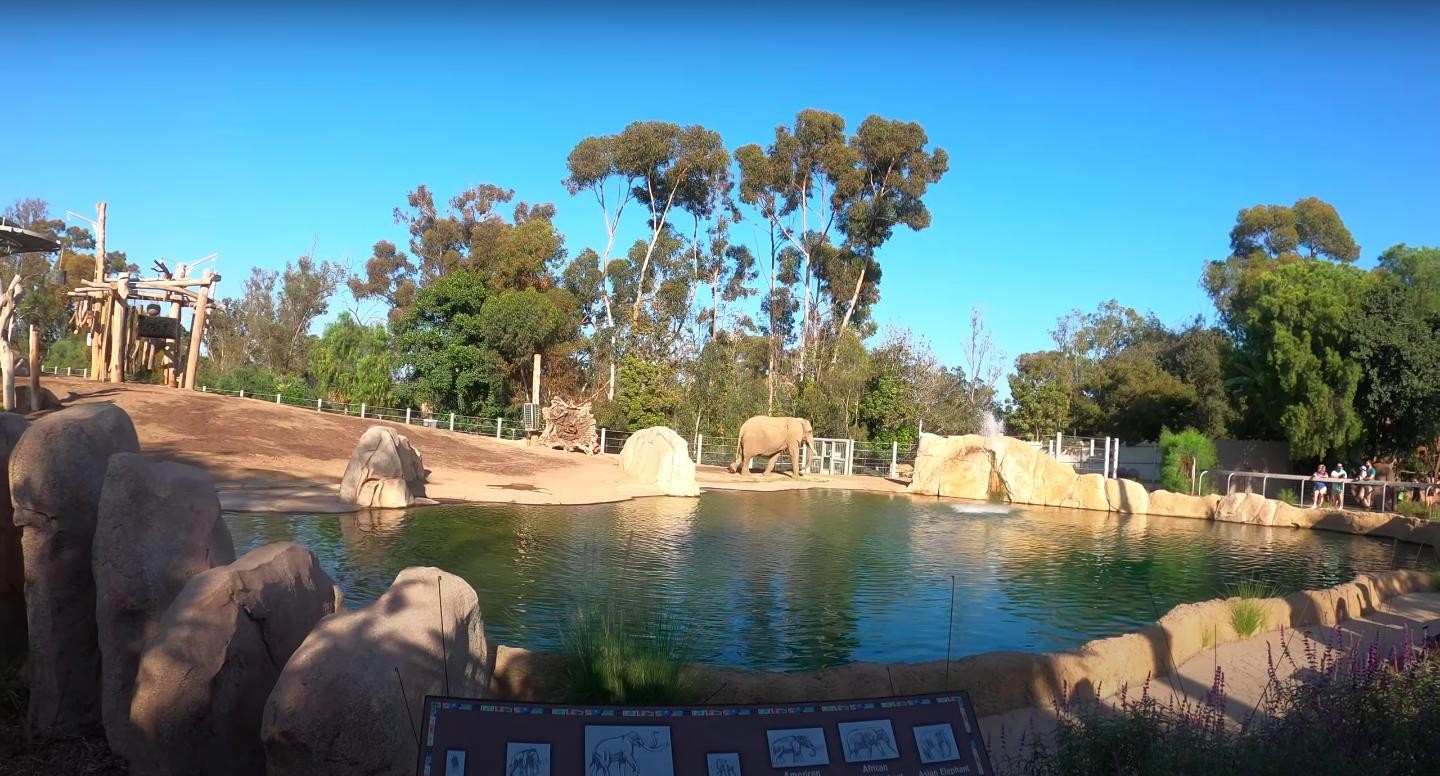 Vườn thú Hà Nội: Tương lai nào cho mô hình safari? ảnh 3