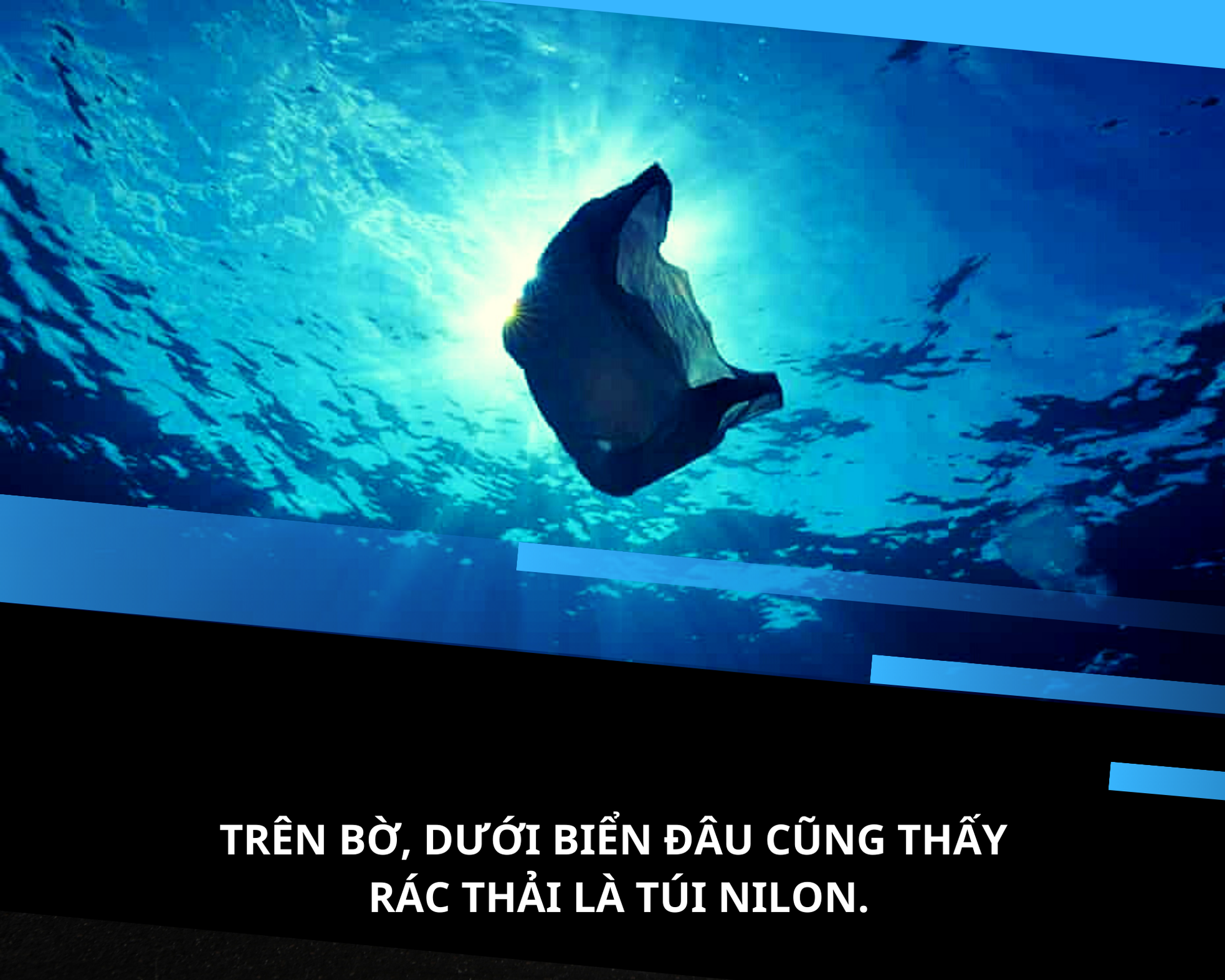 Đáy biển nổi sóng vì rác nhựa - Bài 1: Tương lai dệt bằng… nilon?! ảnh 2