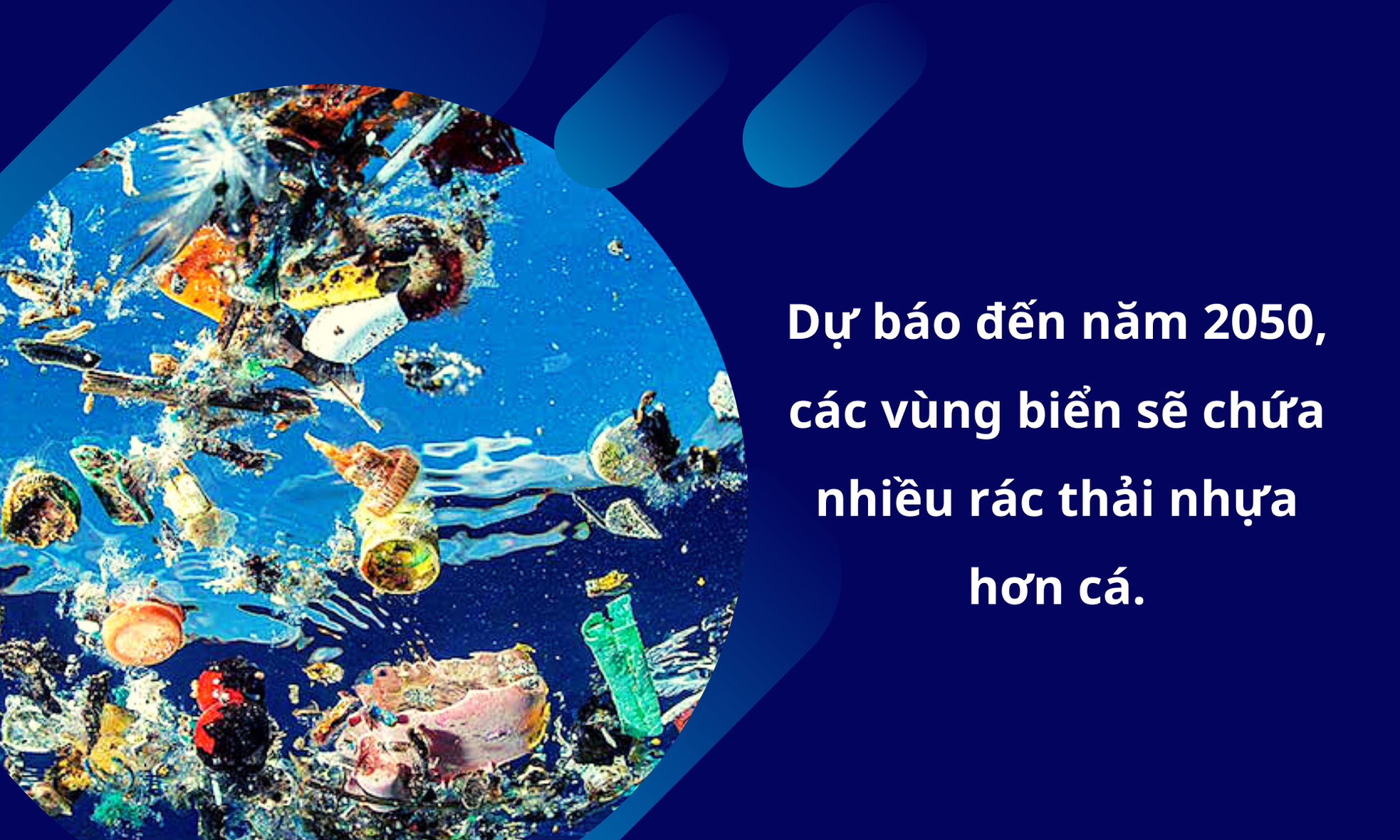 Đáy biển nổi sóng vì rác nhựa - Bài 1: Tương lai dệt bằng… nilon?! ảnh 7