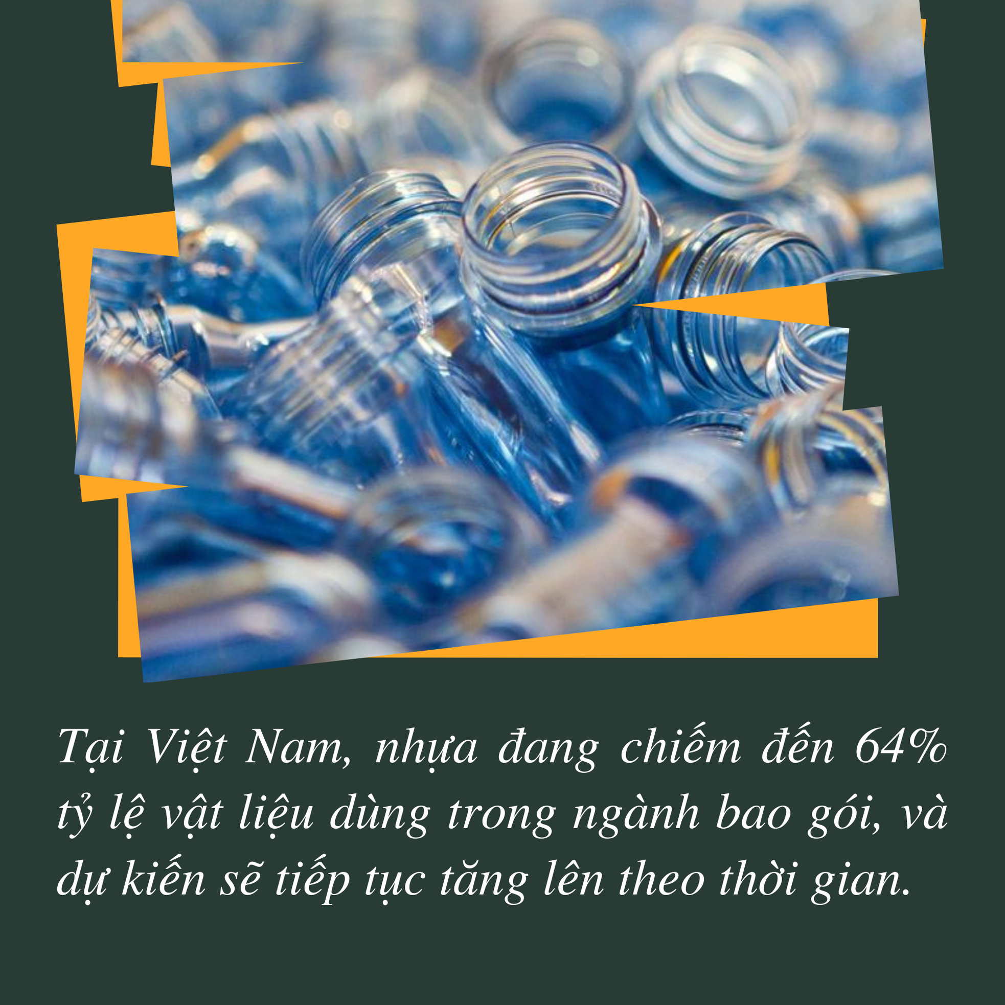 Đáy biển nổi sóng vì rác nhựa - Bài 3: Trả lại màu xanh cho biển ảnh 6