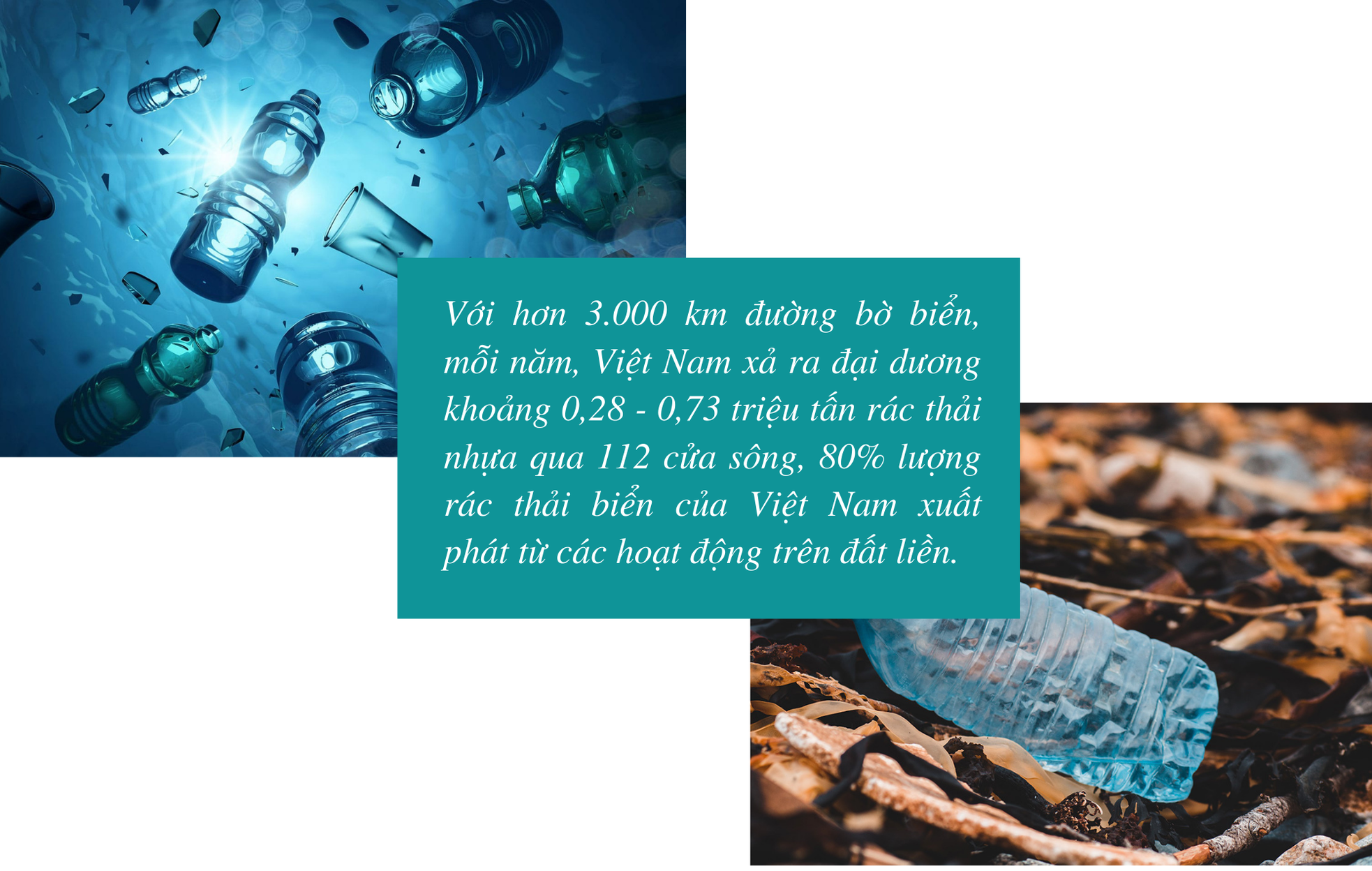 Đáy biển nổi sóng vì rác nhựa - Bài 3: Trả lại màu xanh cho biển ảnh 7