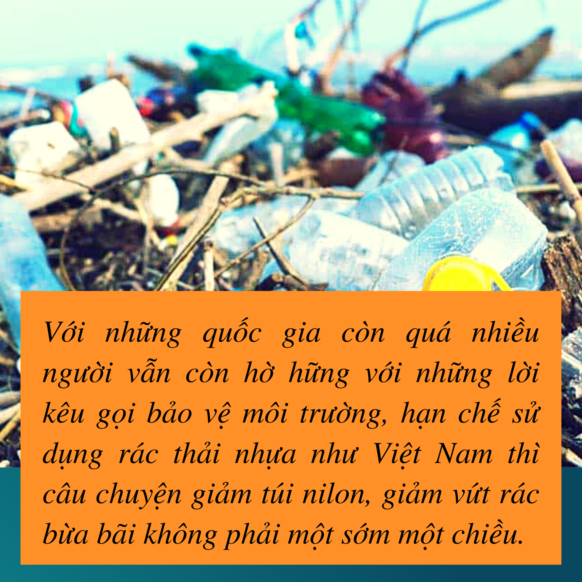 Đáy biển nổi sóng vì rác nhựa - Bài 3: Trả lại màu xanh cho biển ảnh 2