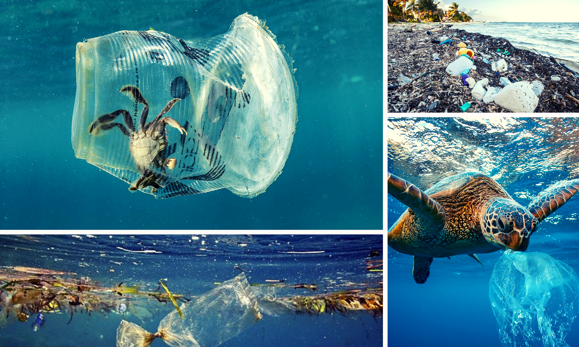 Đáy biển nổi sóng vì rác nhựa - Bài 1: Tương lai dệt bằng… nilon?! ảnh 5