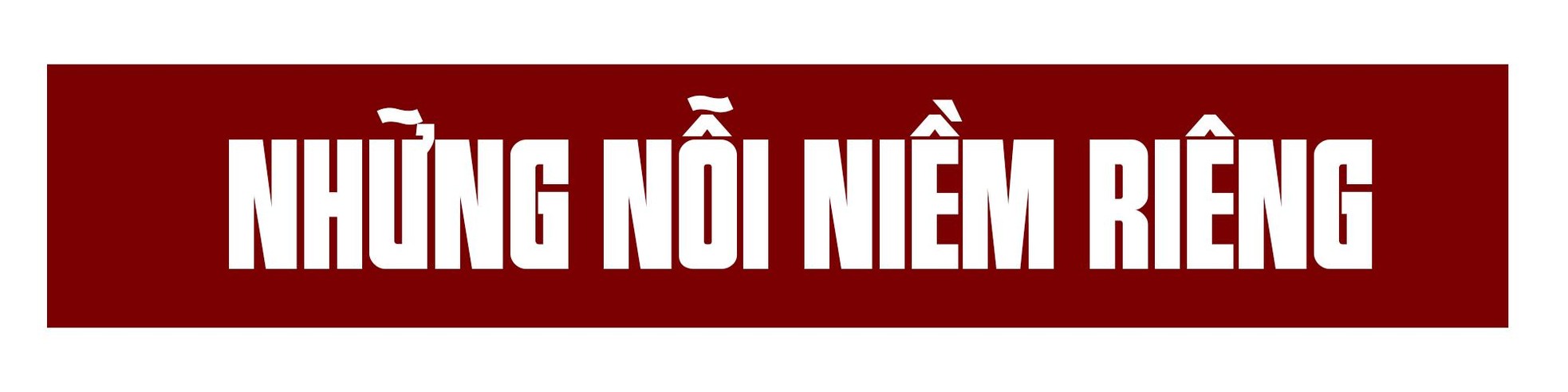 Những tượng đài của thể thao Việt Nam: Vinh quang không chỉ có hoa hồng ảnh 7