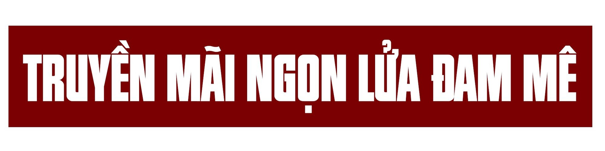 Những tượng đài của thể thao Việt Nam: Vinh quang không chỉ có hoa hồng ảnh 10