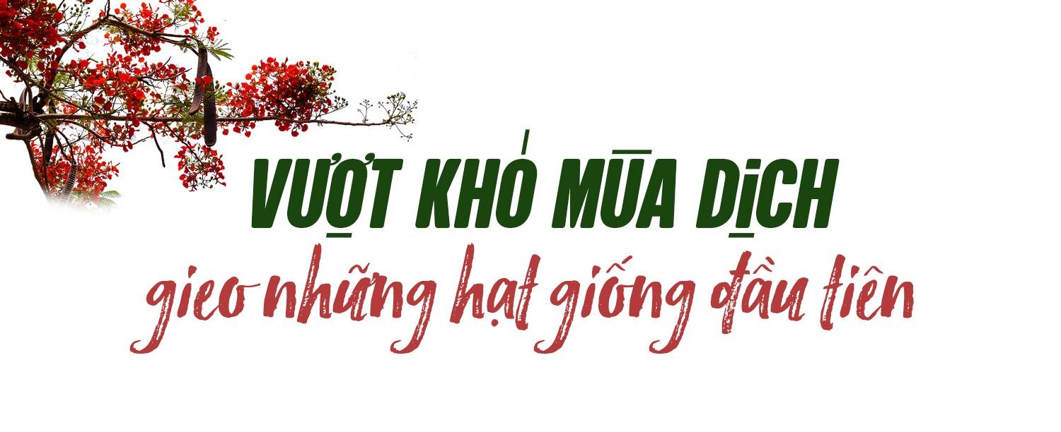 Chuyện về một ngôi trường sinh ra trong mùa dịch mà đẹp đến lạ thường! ảnh 1