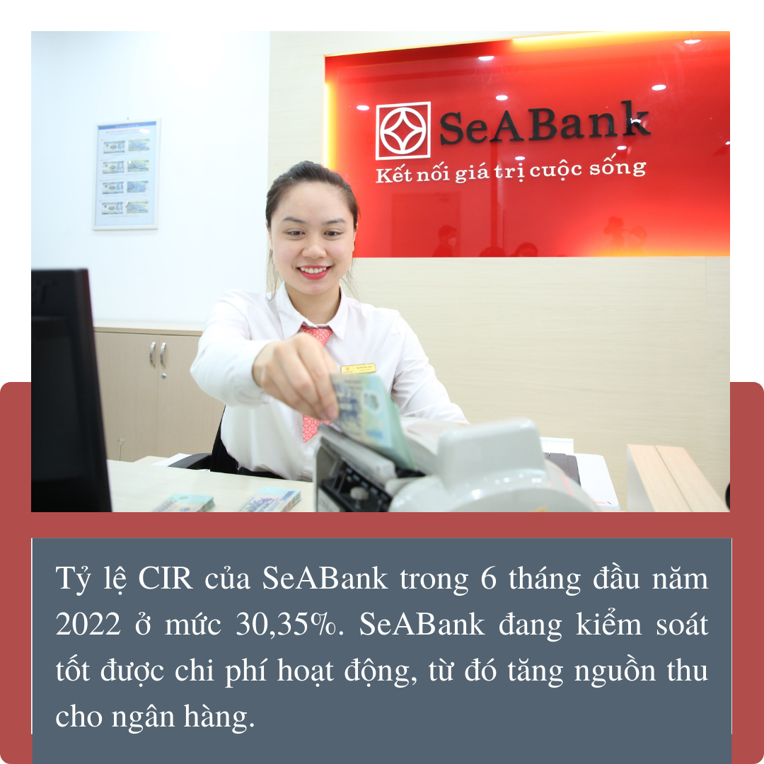 SeABank hái quả ngọt nhờ chiến lược phát triển bền vững ảnh 2