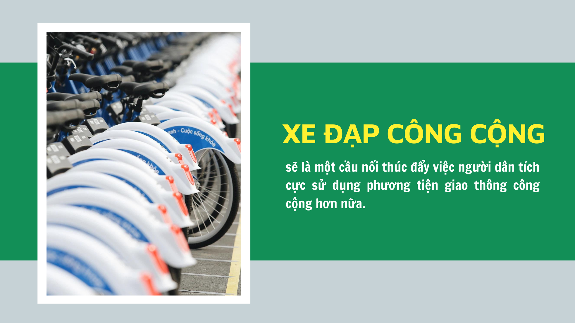 Hẹn gặp một Hà Nội xanh hơn ảnh 2