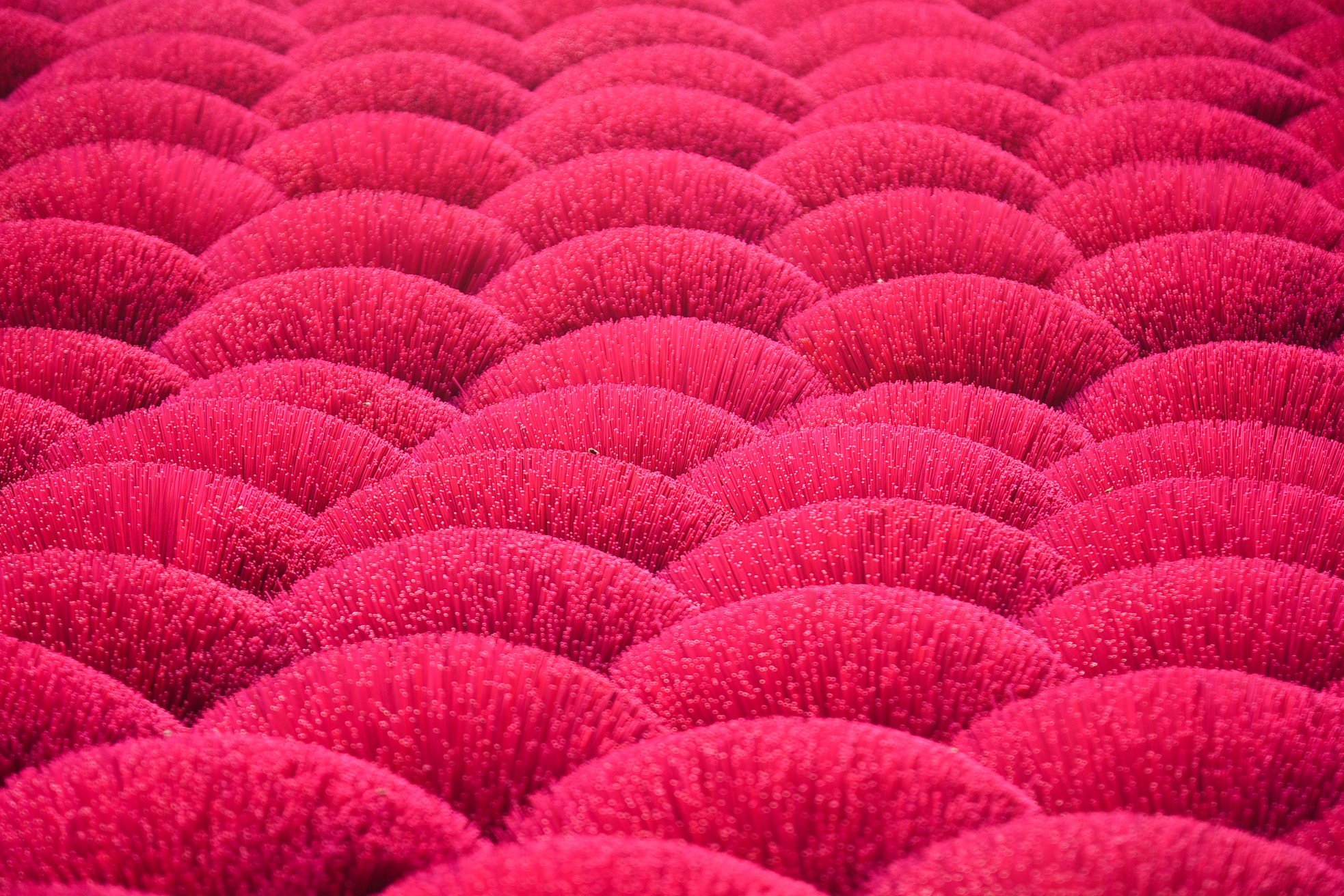 Lạc vào xứ sở rộn sắc màu ở làng hương Quảng Phú Cầu ảnh 15