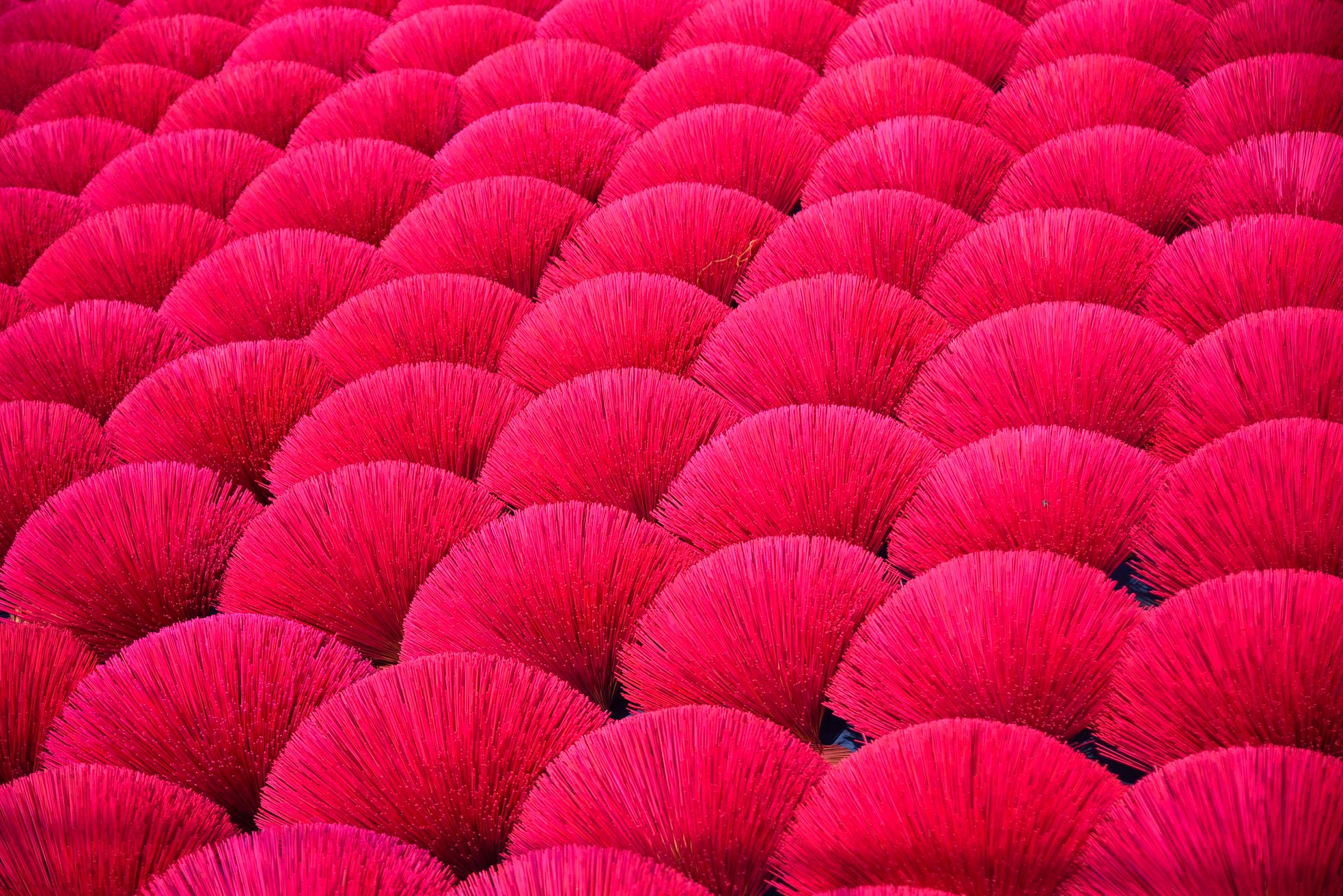 Lạc vào xứ sở rộn sắc màu ở làng hương Quảng Phú Cầu ảnh 8