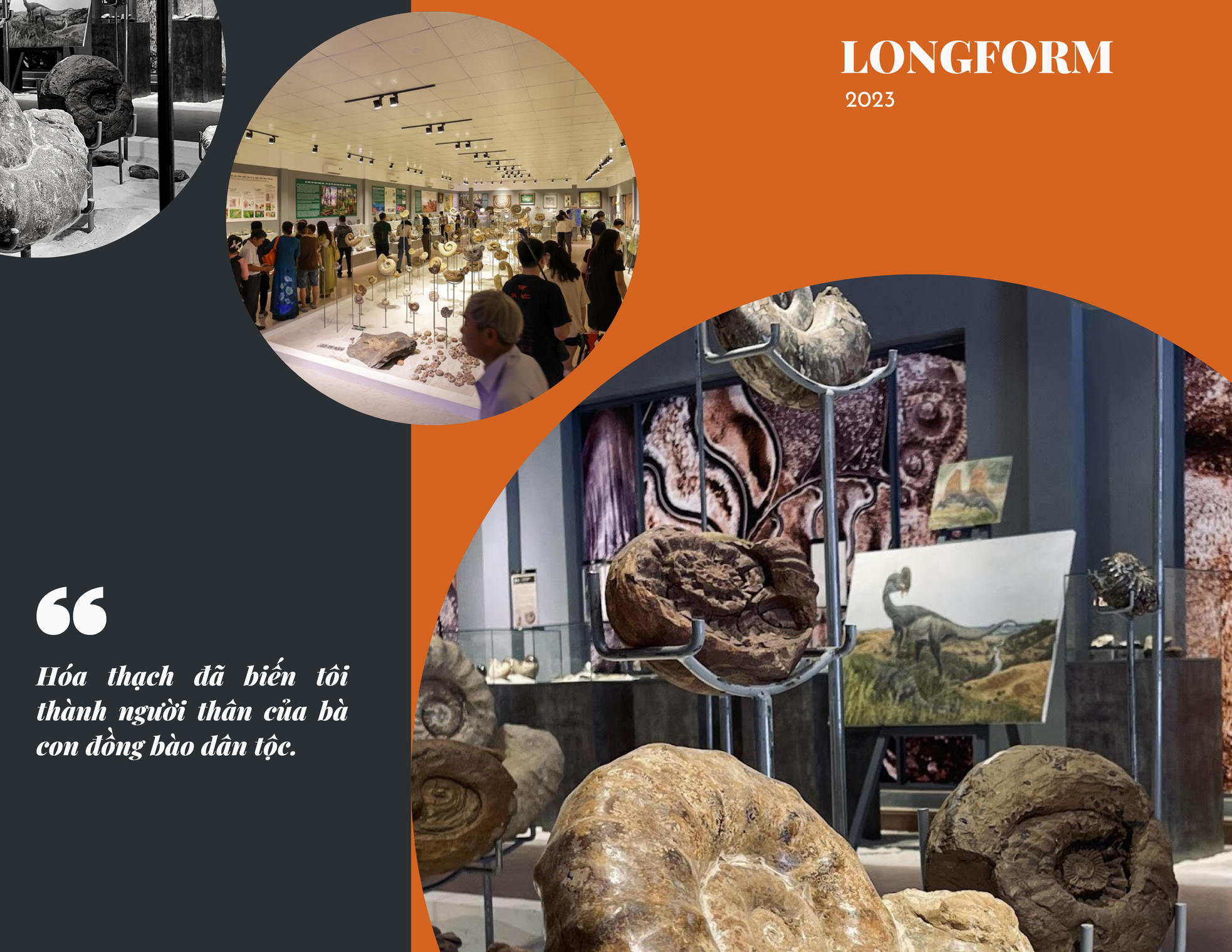 Giám đốc Bảo tàng Hóa thạch Hà Nội: 'Hóa thạch với tôi là tình yêu' ảnh 8