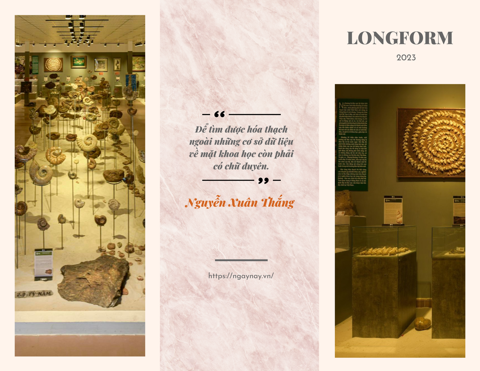 Giám đốc Bảo tàng Hóa thạch Hà Nội: 'Hóa thạch với tôi là tình yêu' ảnh 2