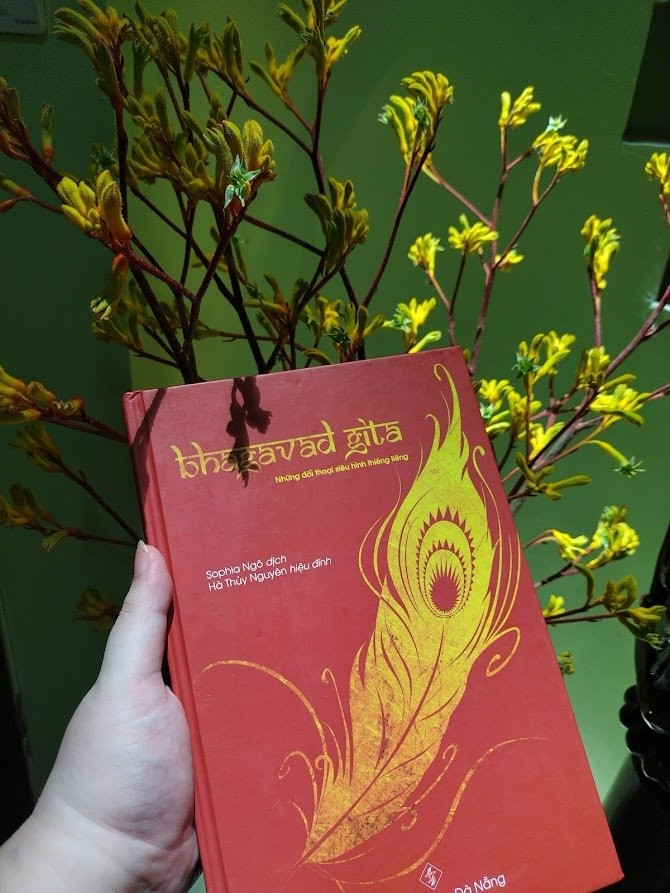 Xây dựng chỗ đứng cho sách nền tảng ảnh 6