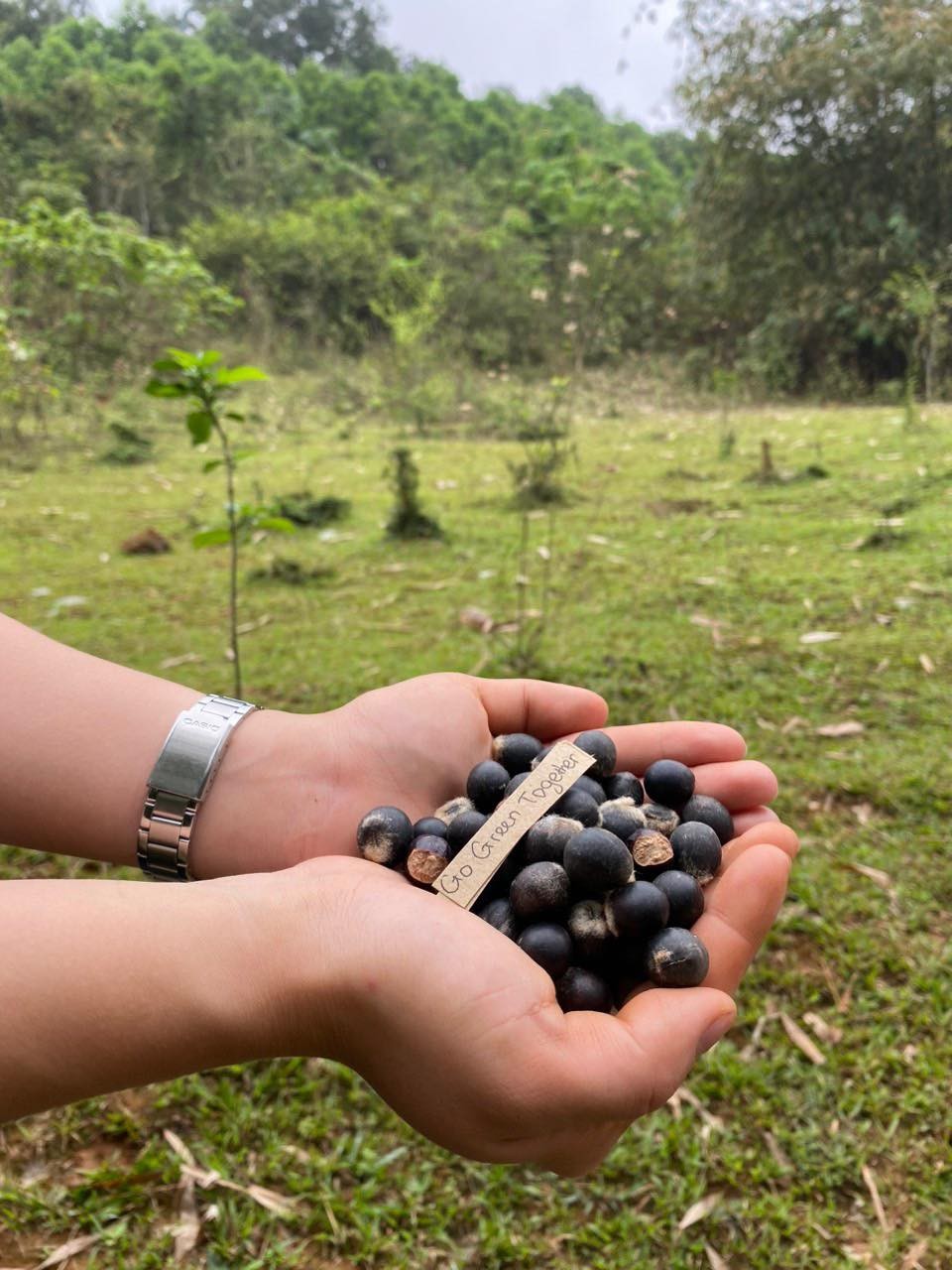 Dạy trẻ biết 'chữa lành' thiên nhiên ảnh 1