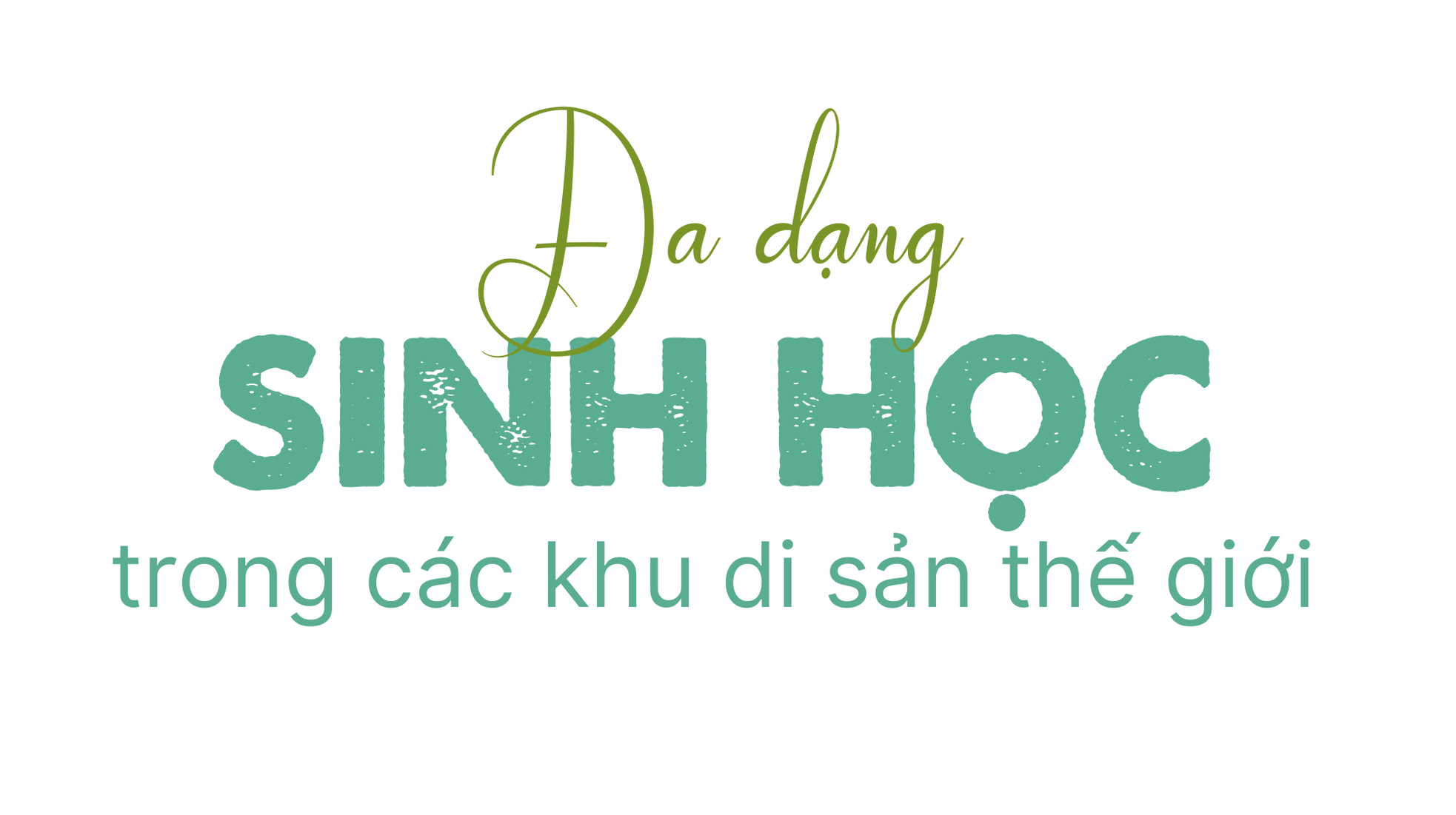 Di sản thiên nhiên - Nguồn cảm hứng bất tận cho những sáng kiến bảo vệ môi trường ảnh 1