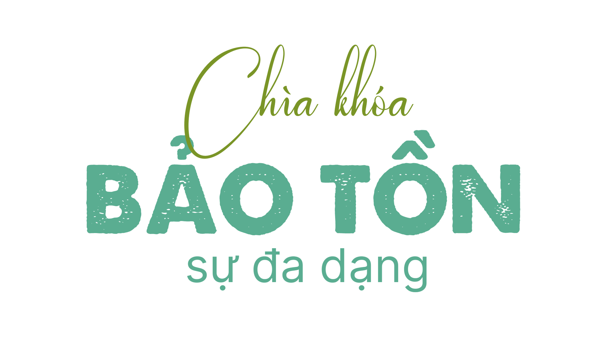 Di sản thiên nhiên - Nguồn cảm hứng bất tận cho những sáng kiến bảo vệ môi trường ảnh 5