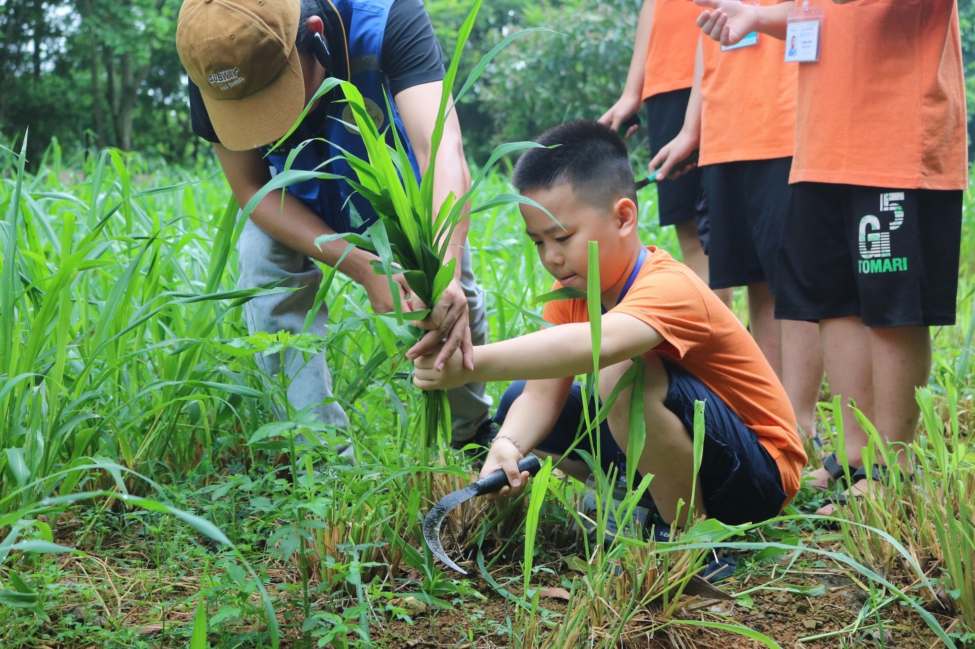 Hẹn nhau đón mùa hè rực rỡ ảnh 10