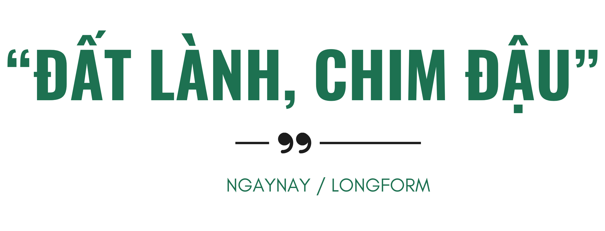 “Đi châu Phi để thấy Việt Nam rất được yêu quý” ảnh 5