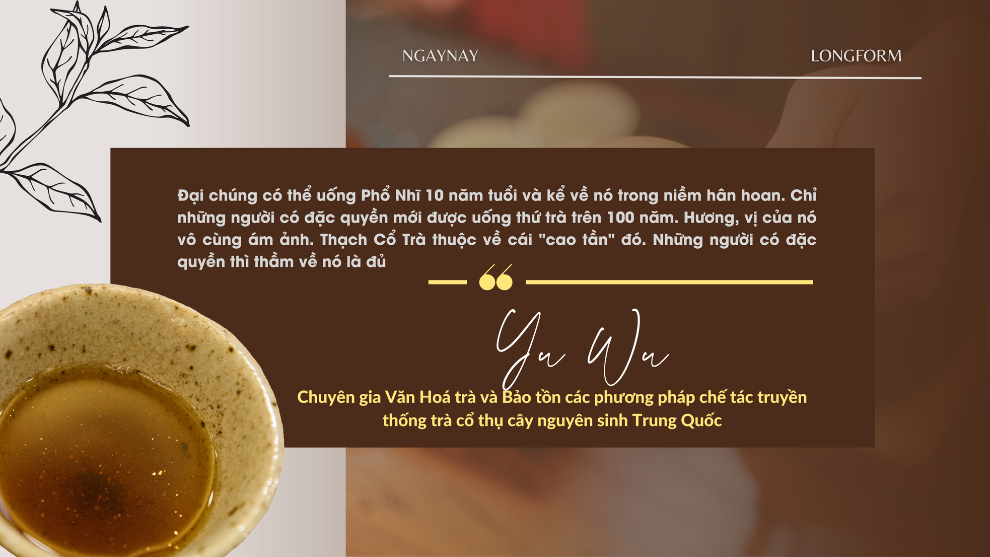 Chén trà di sản ảnh 3