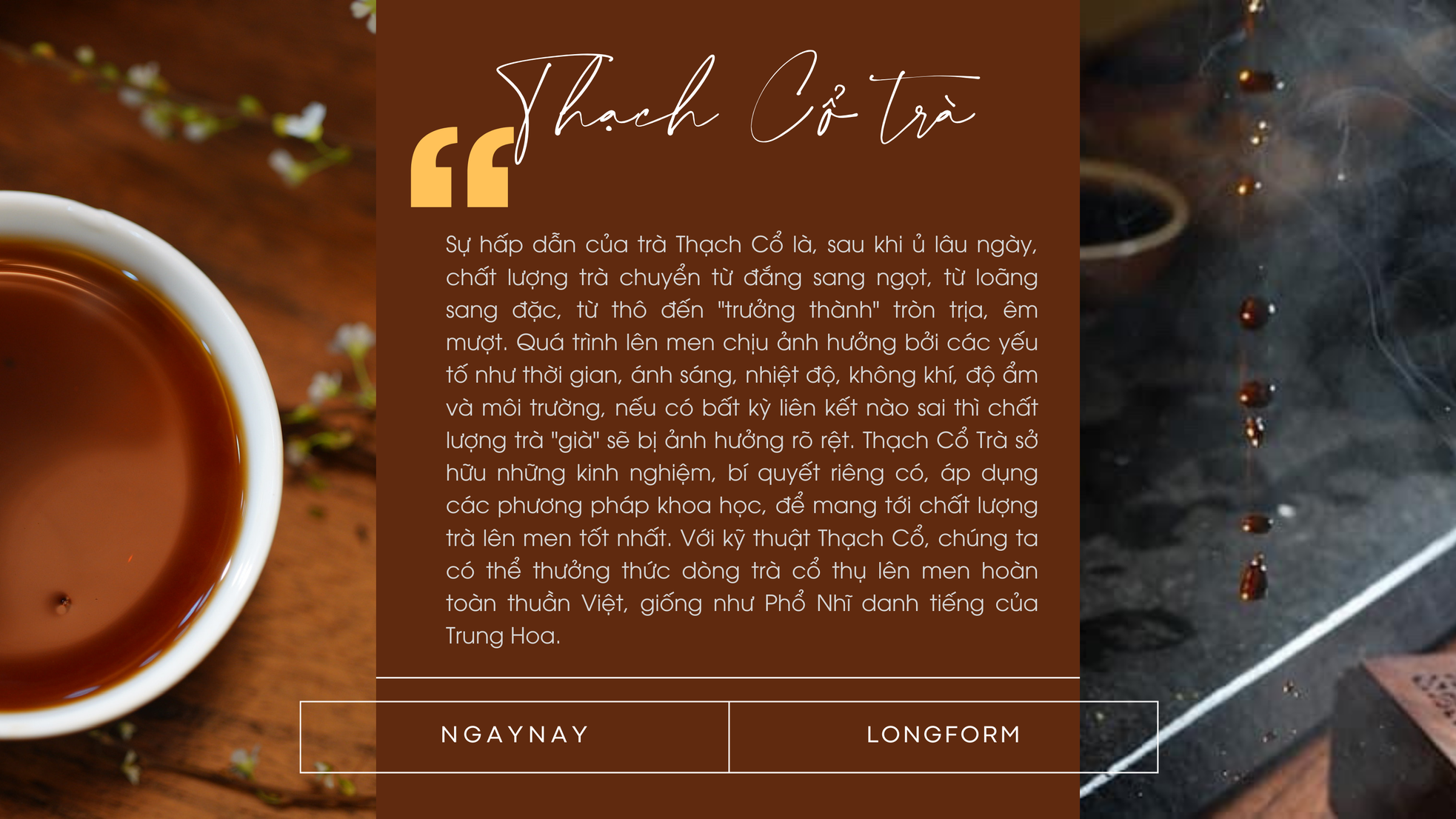 Chén trà di sản ảnh 2