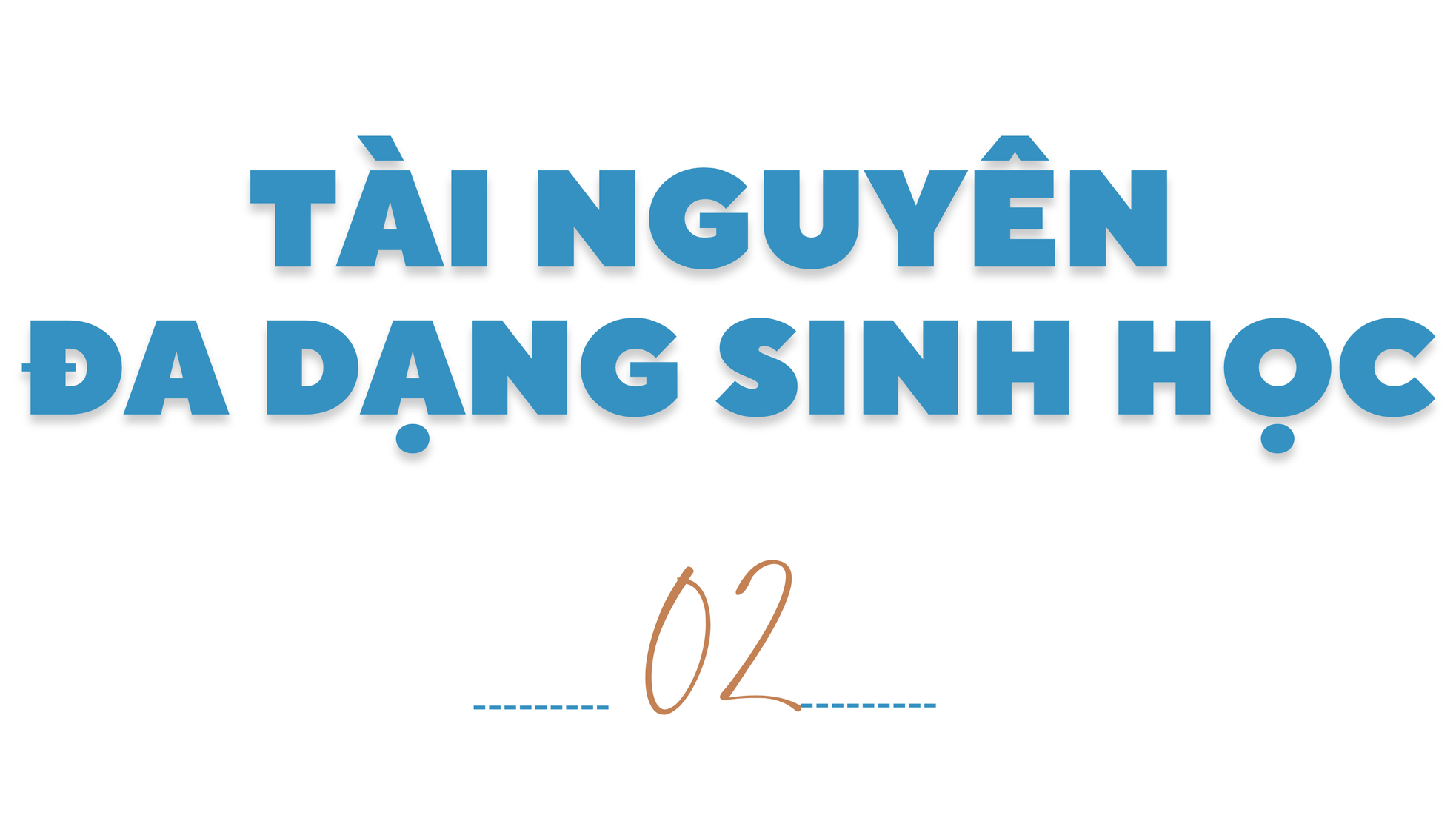 Vịnh Hạ Long: Sức sống bền vững của di sản thế giới 30 năm tuổi - Bài 2:Phát huy giá trị cốt lõi của di sản Vịnh Hạ Long ảnh 4
