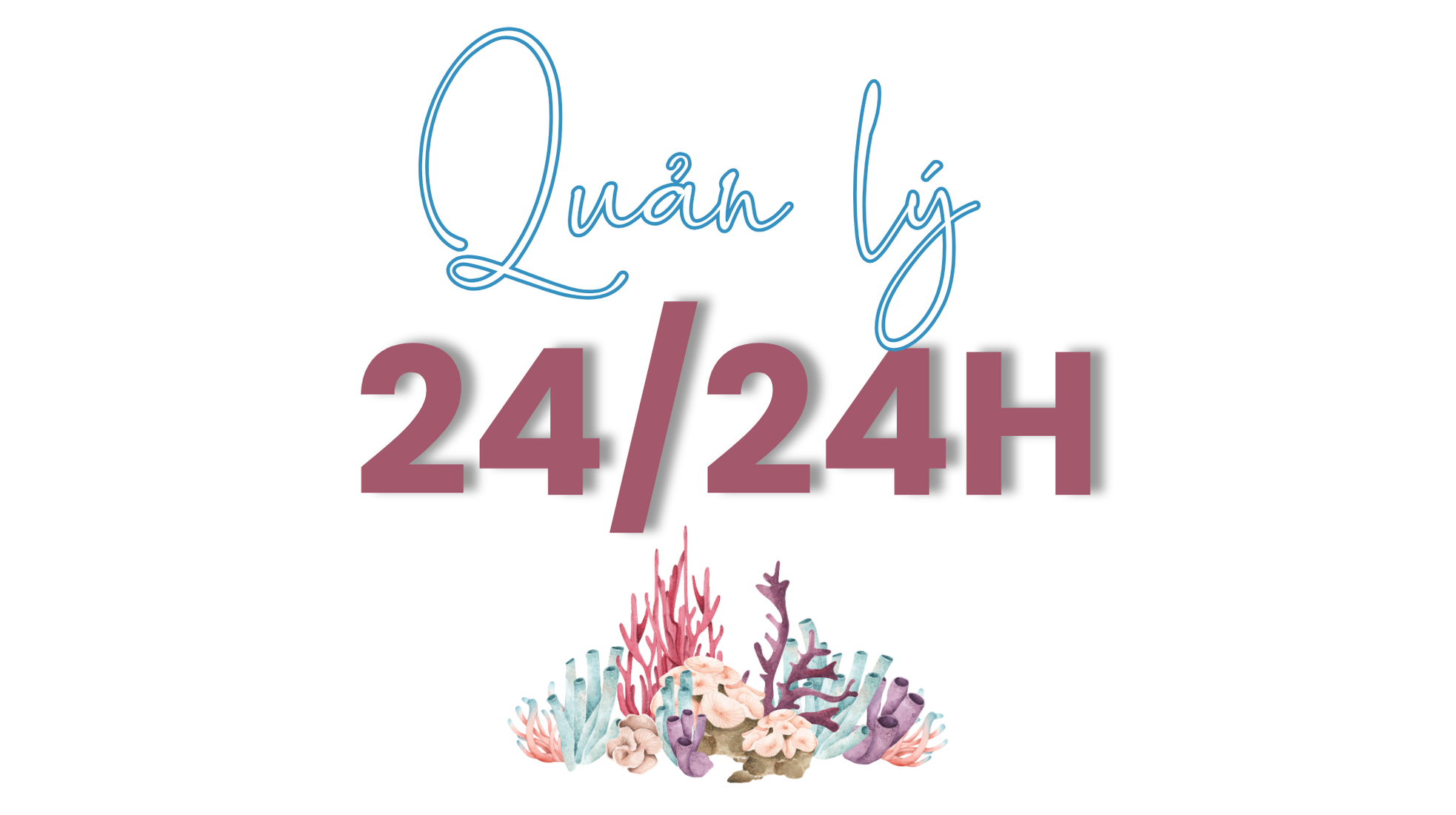 Vịnh Hạ Long: Sức sống bền vững của di sản thế giới 30 năm tuổi - Bài 3: Hệ sinh thái độc nhất vô nhị được gìn giữ ảnh 1