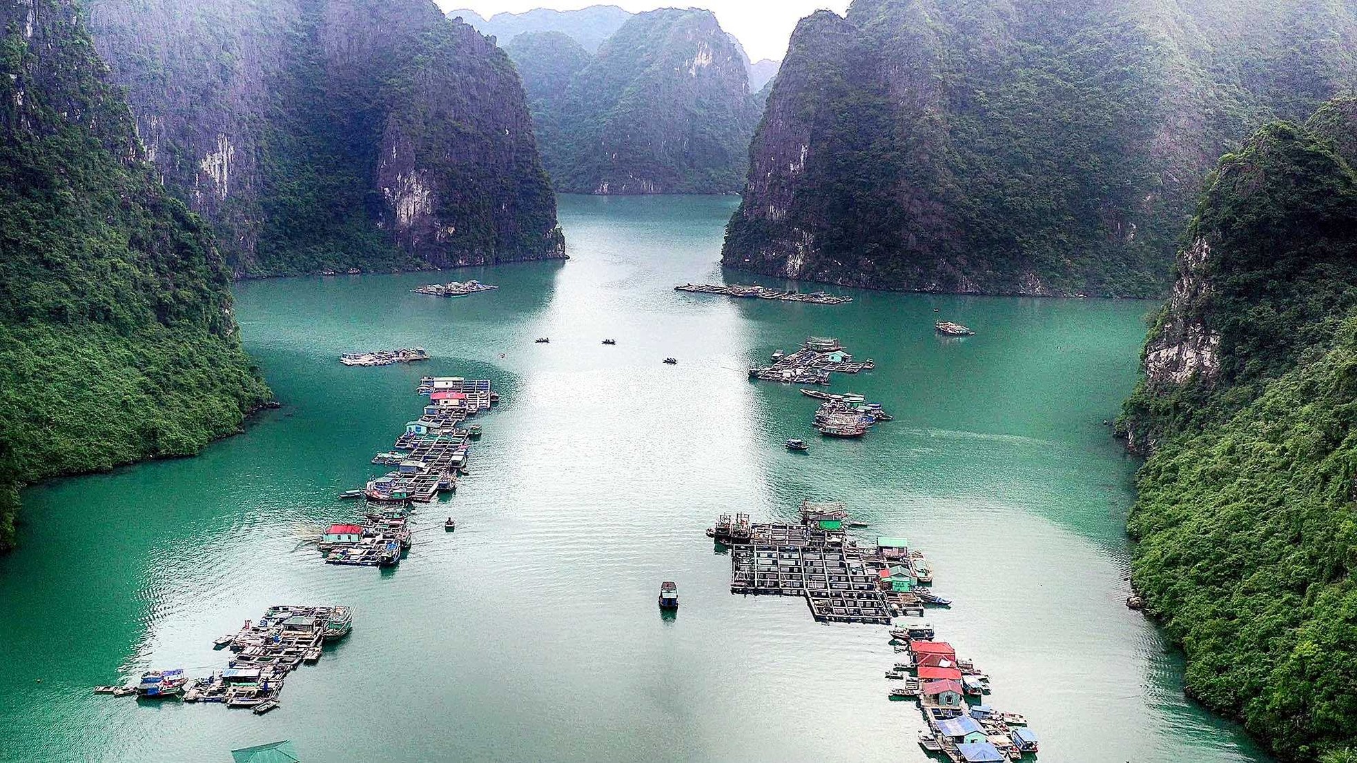 Vịnh Hạ Long: Sức sống bền vững của di sản thế giới 30 năm tuổi - Bài 3: Hệ sinh thái độc nhất vô nhị được gìn giữ ảnh 4