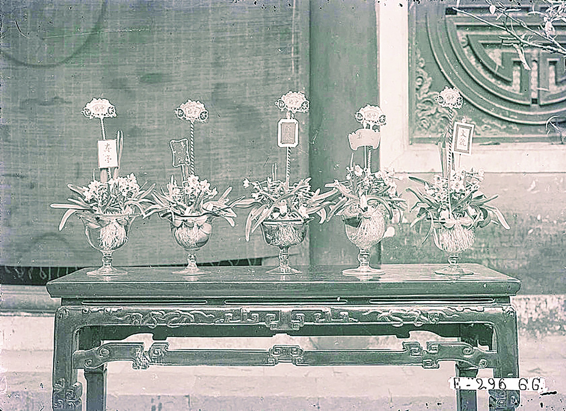 Ăn Tết thủy tiên ảnh 3