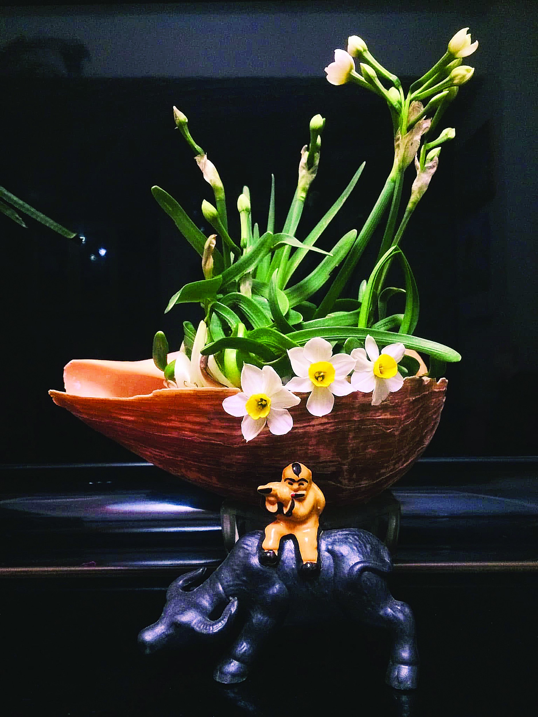 Ăn Tết thủy tiên ảnh 9