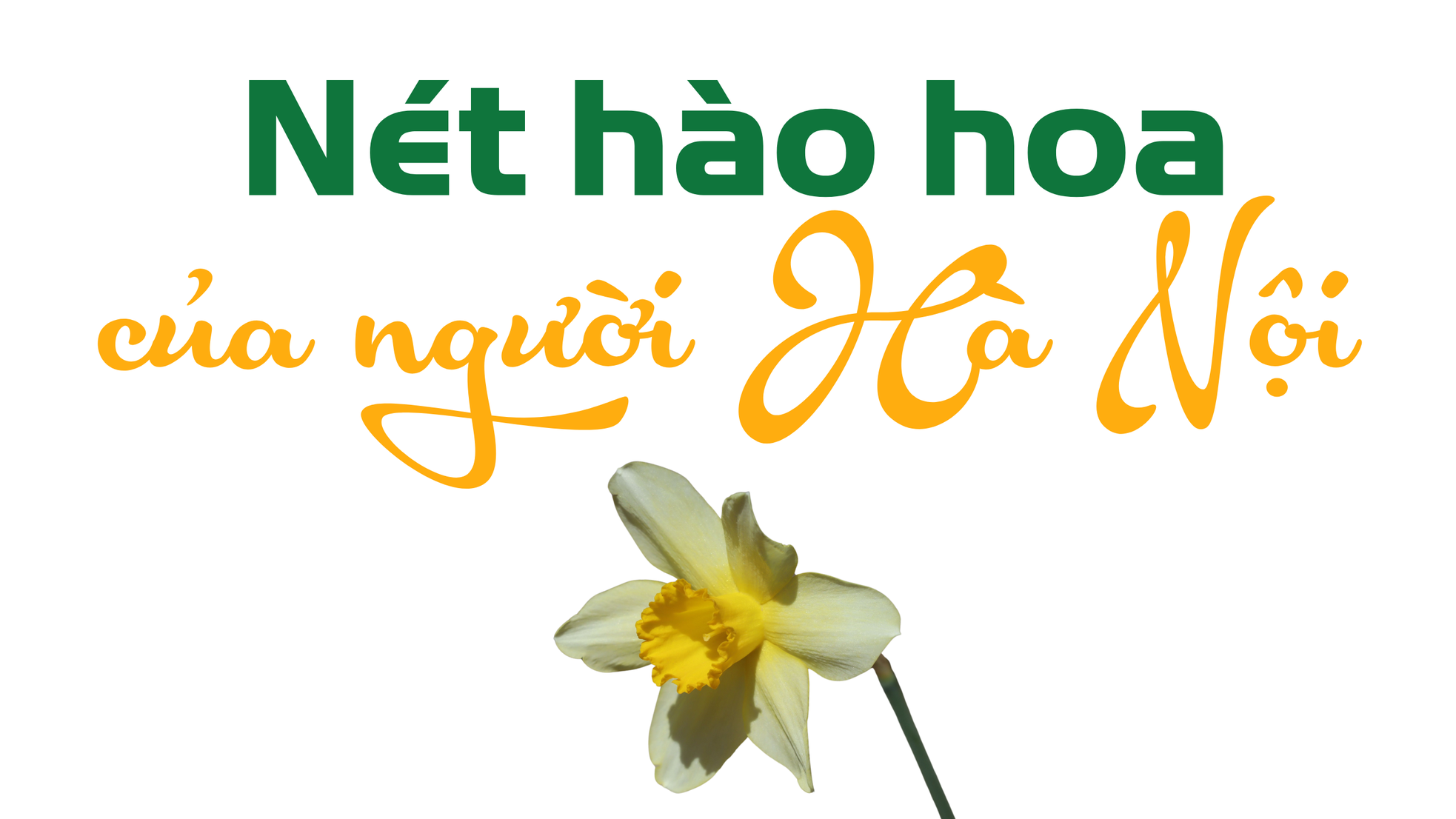 Ăn Tết thủy tiên ảnh 1