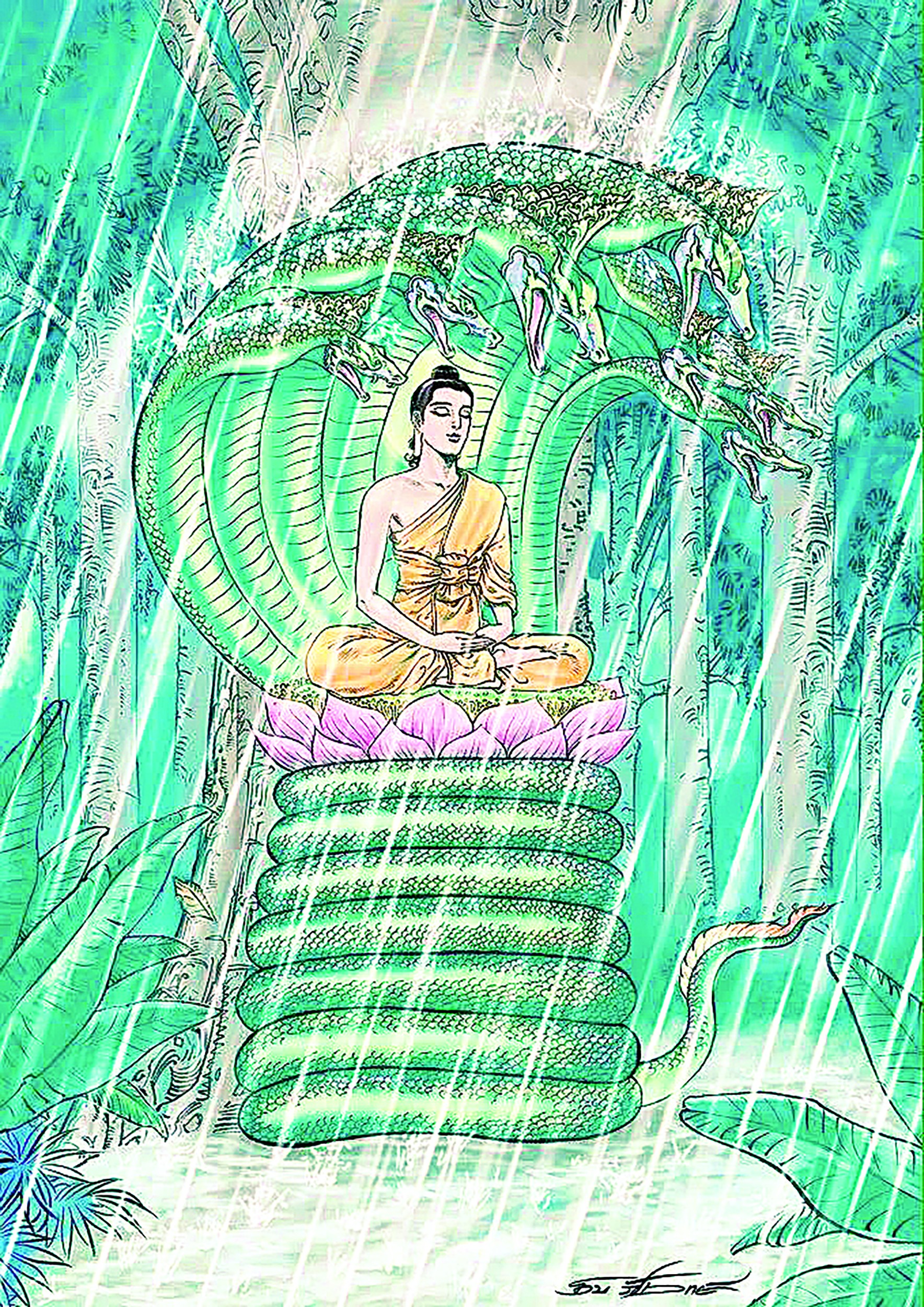 Những câu chuyện về Rắn trong Phật giáo ảnh 1