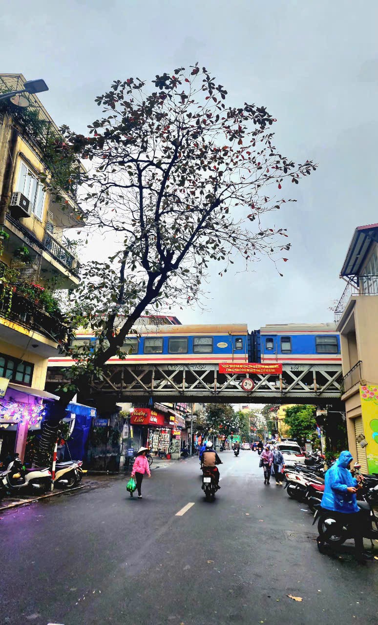 Đường ray “kể chuyện” mùa Xuân ảnh 5