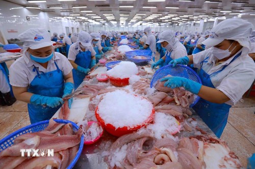 Đột phá thể chế, pháp luật để đất nước vươn mình ảnh 3