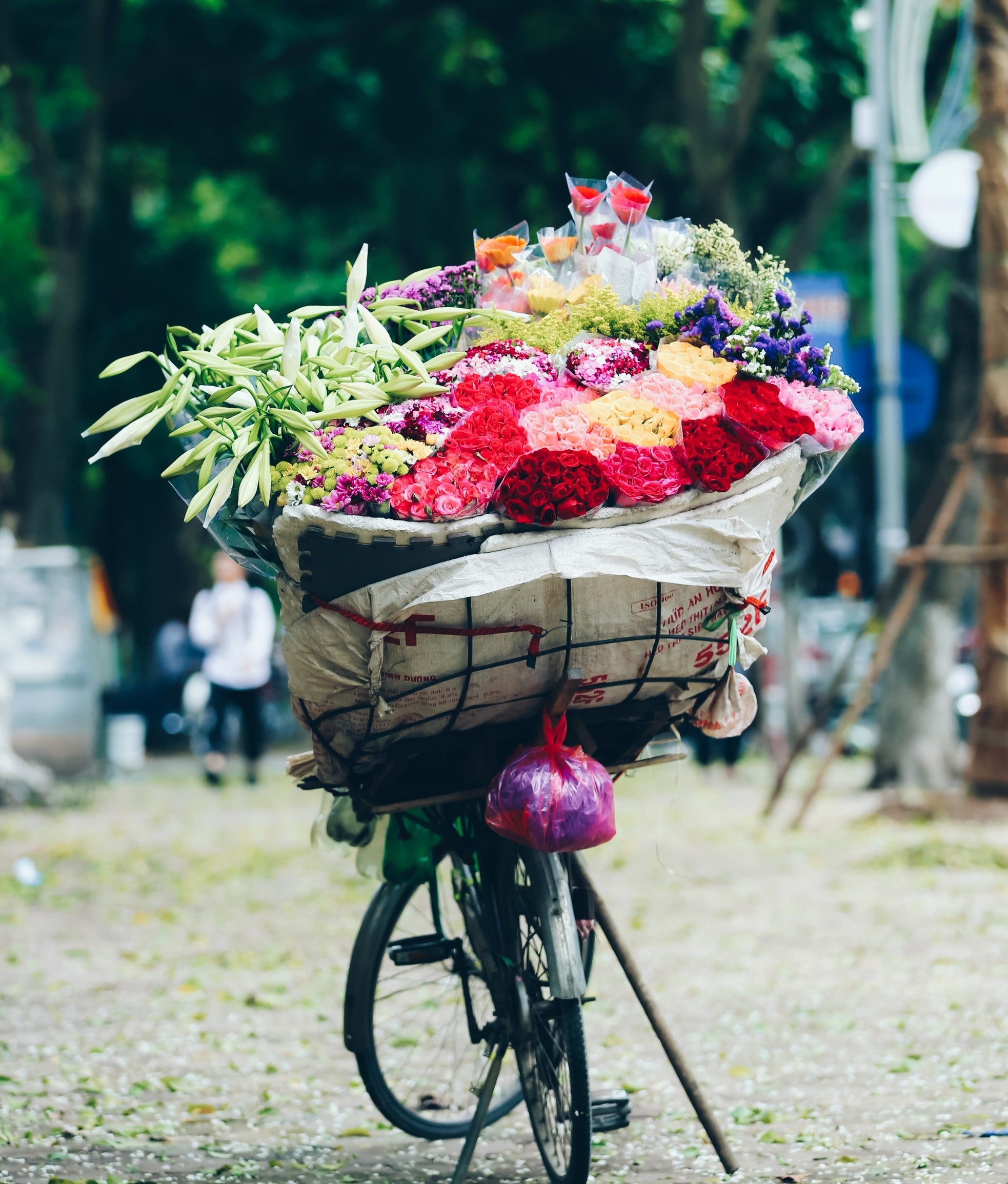 Những điều đặc biệt chỉ có ở mùa thu Hà Nội ảnh 2