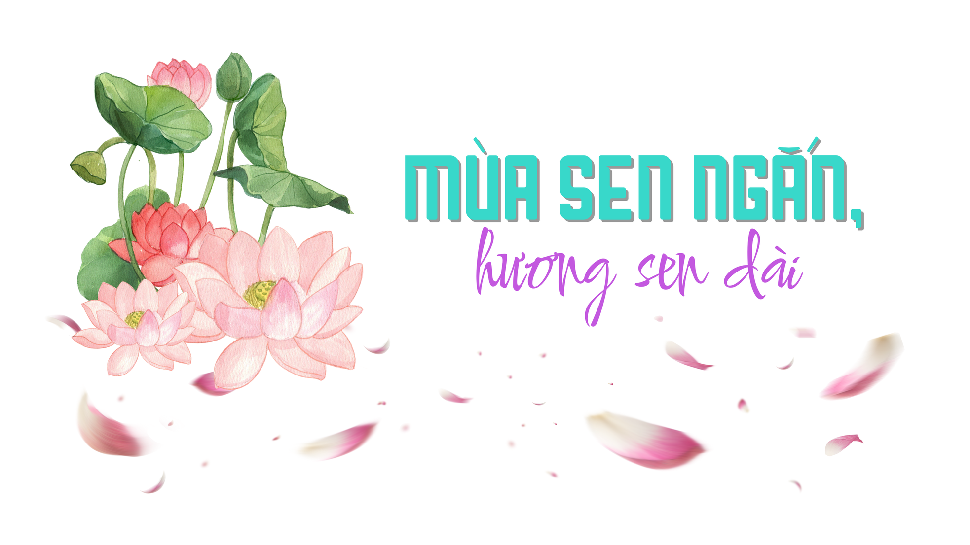 Nâng niu “bản sắc” Hà Nội trong từng chén trà sen ảnh 1