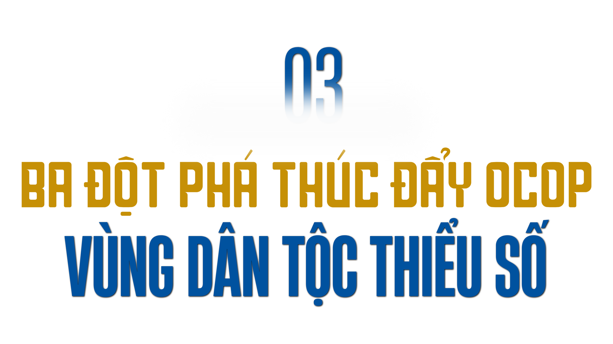 Dấu ấn của những cán bộ “thật thà nhúng tay vào việc” - Bài 3: Cùng dân nghèo đưa OCOP vươn xa ảnh 7