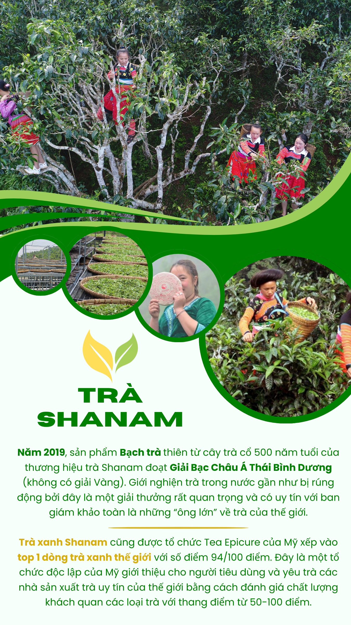 Từ tiệc trà ngoại giao tới niềm tự hào Trà Việt cho người Việt ảnh 9