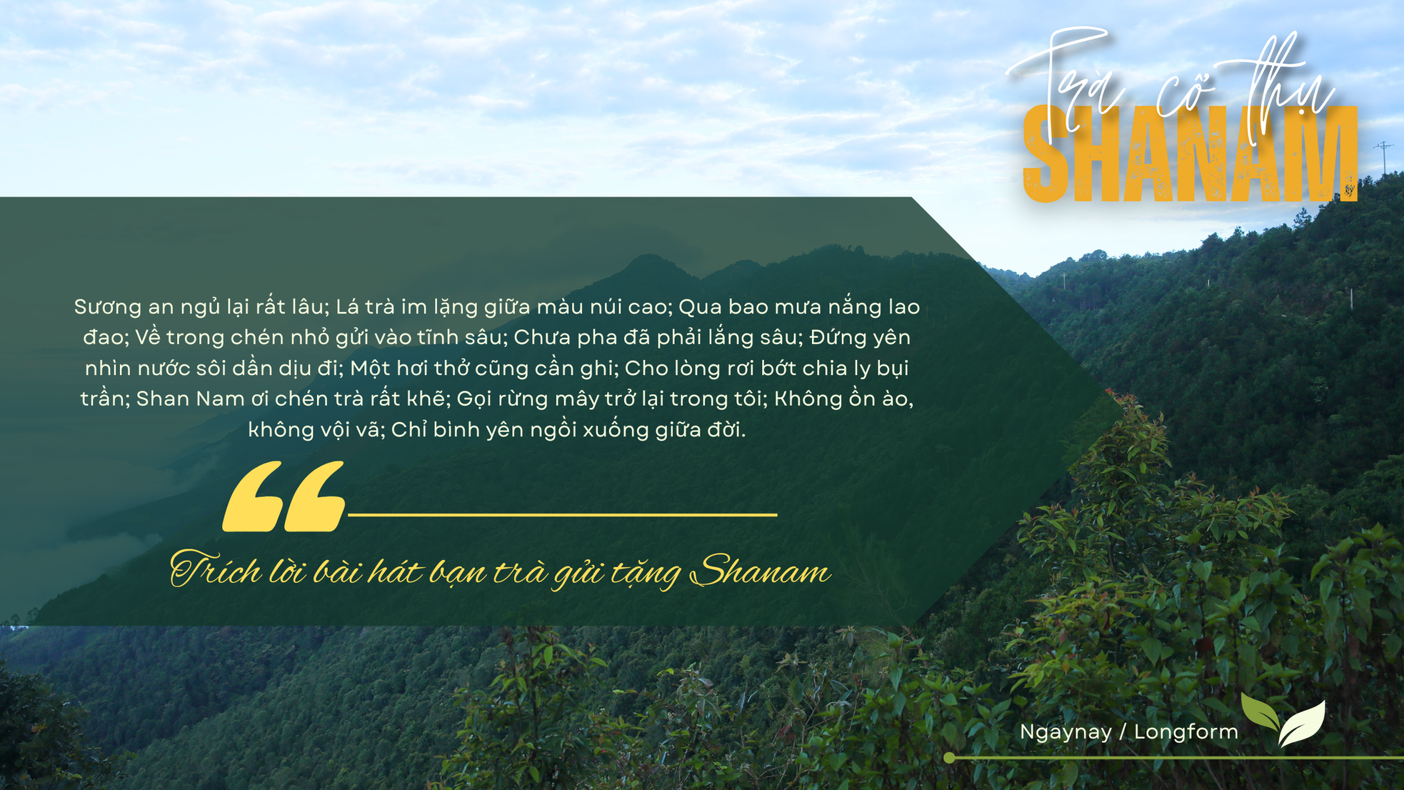 Trà cổ thụ Shanam - Gốc xưa chảy vào ngày mới ảnh 8