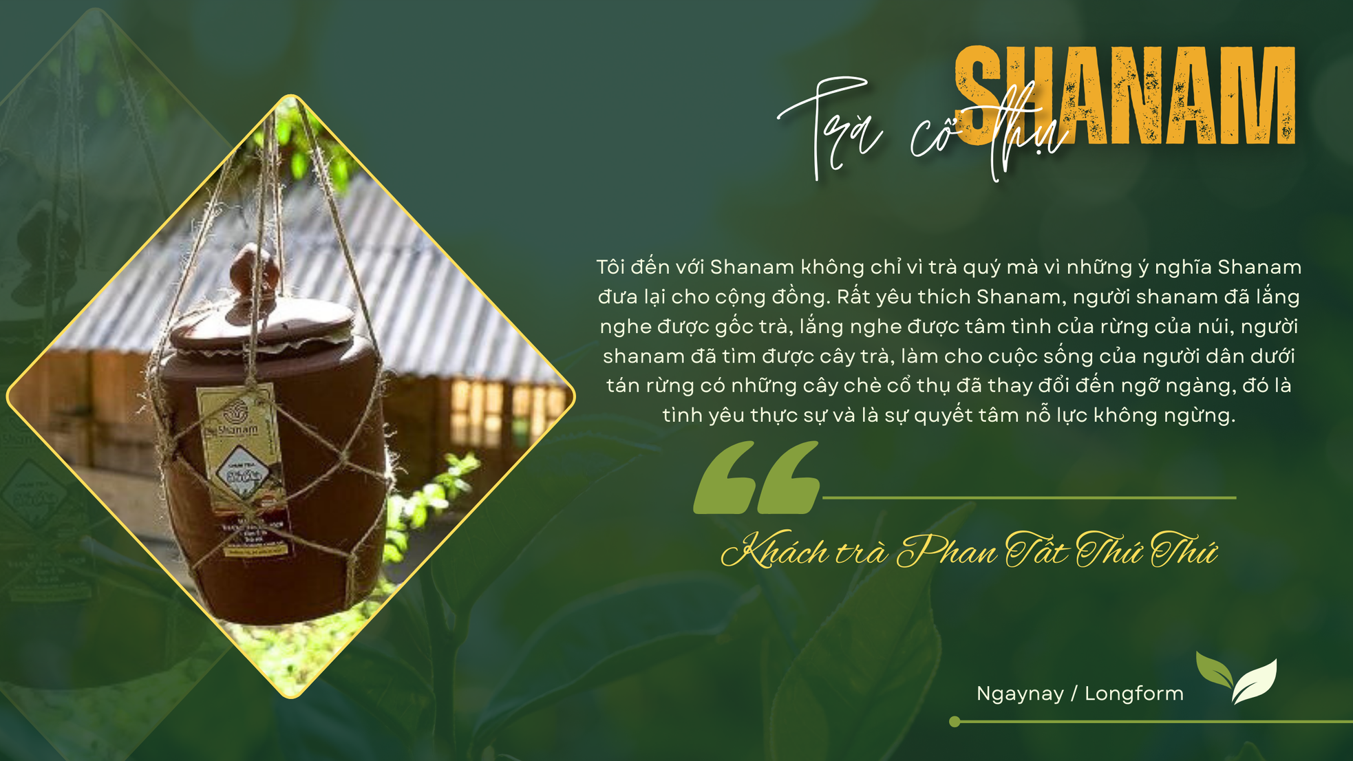 Trà cổ thụ Shanam - Gốc xưa chảy vào ngày mới ảnh 9