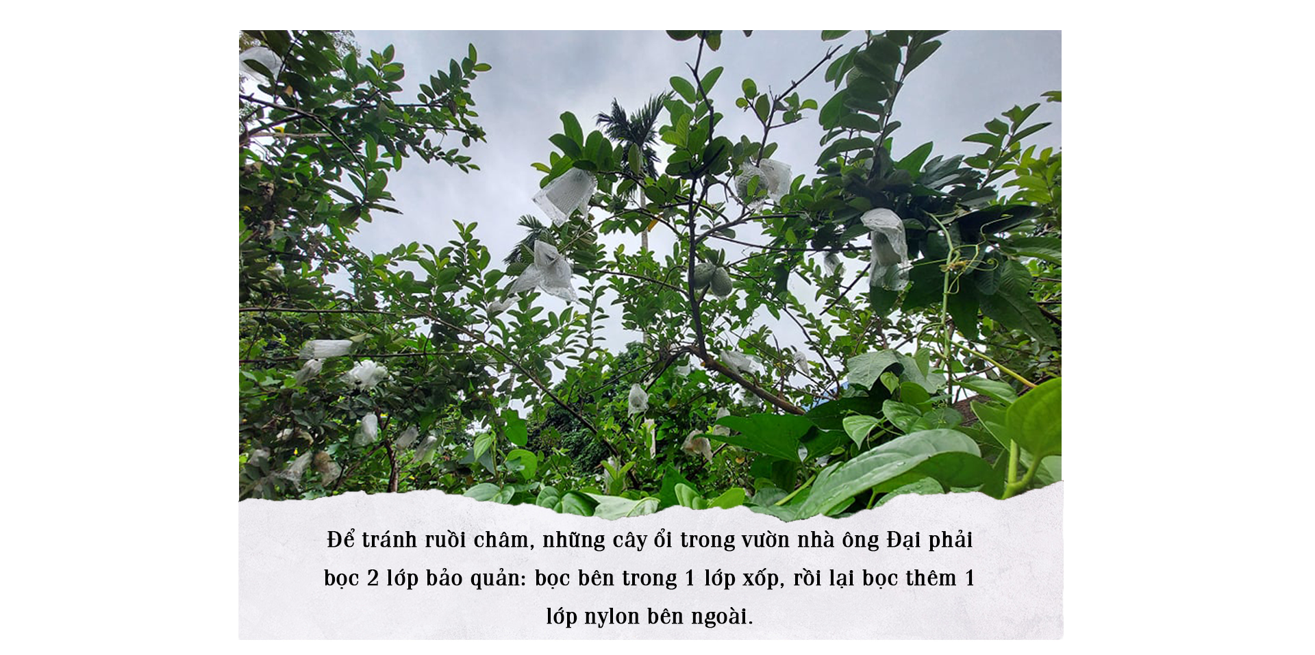 Những mảng tối dưới chân núi rác - ảnh 10