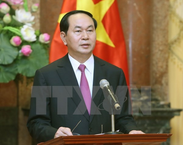 Chủ tịch nước Trần Đại Quang gửi thông điệp năm mới - ảnh 1