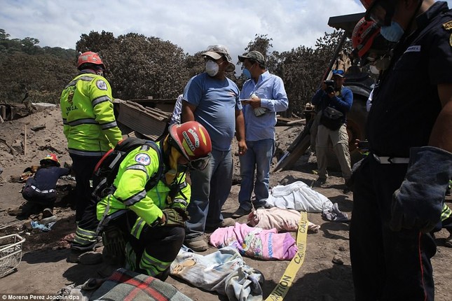 Several corpses with identification tags lie covered with blankets during the rescue and cleanup efforts after the volcano eruption