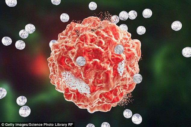 Scientists have discovered a drug that can target a signalling pathway that switches about half of all cancer cases into overdrive, offering hope to treat drug-resistant tumorsÂ 