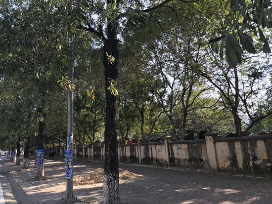 Dự án “Vedette” quận Thanh Xuân giá bèo vì ôm trọn nghĩa trang - ảnh 4